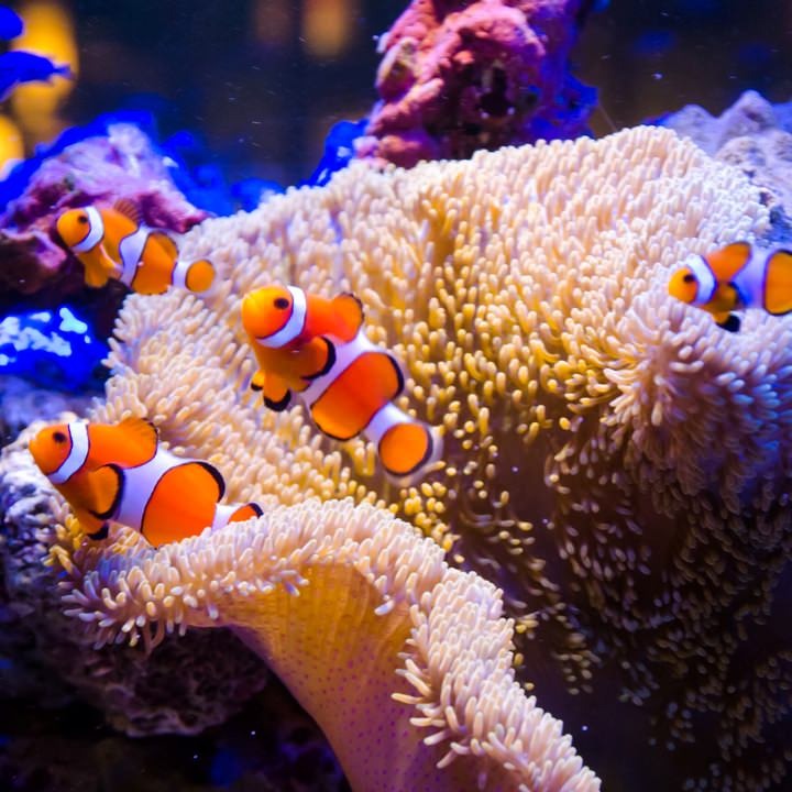 名嘉真本店の店内